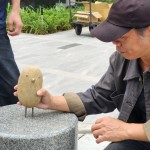 每一隻鳥(niǎo)兒都有著獨(dú)特的姿態(tài)和表情，彷彿在述說(shuō)著它們自身的旅程與故事。