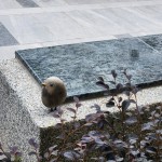 選用基地的石頭來(lái)做街道家俱，運(yùn)用此塊土地生長(zhǎng)出來(lái)的原石，透過(guò)人的創(chuàng)造，分享土地與建築之間的對(duì)話及溫暖守護(hù)的連結(jié)。 