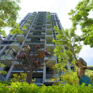 等待風(fēng)起、河畔青青