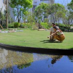 陽光草坪 實(shí)景圖