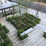 新業(yè)宜家 入口廣場(chǎng)