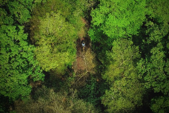 鳥瞰東光園道光景，築森鄰以氧森綠海為伴。