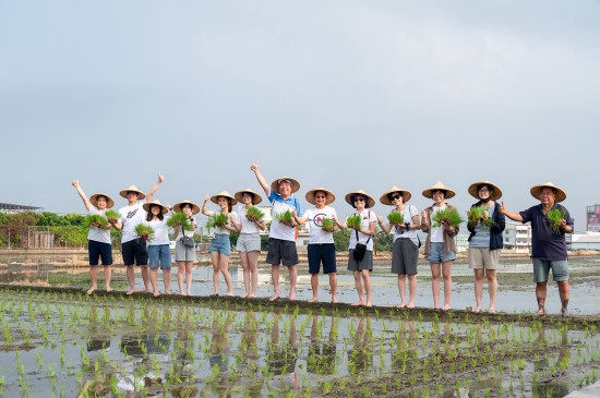 大暑之日，新業(yè)建設的大家長 穆椿松名譽董事長(右七) 與 卓勝隆董事長(右六)帶領各部門同仁，一大清早，來到契作認養(yǎng)的霧峰田間，體驗農家插秧盛事。