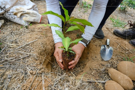 由新業(yè)建設 卓勝隆 董事長種下新業(yè)團隊的第一棵小樹苗，滿懷心中希冀，期盼平安順利長大，為大肚山增添另一份生機。