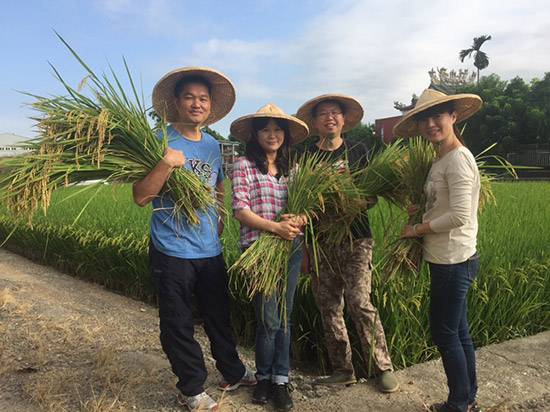 手握一畝田，回以這片土地最敬虔的溫柔。