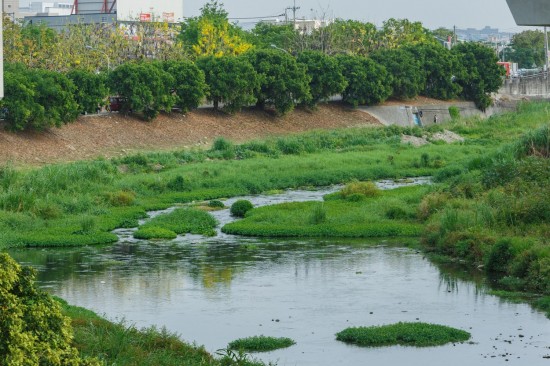 蜿蜒的筏子溪與新業(yè)做鄰居已經(jīng)有一段年月，縱長的河道是小魚小蝦們的家，讓我們一起保護牠們的家園，付出行動愛地球。