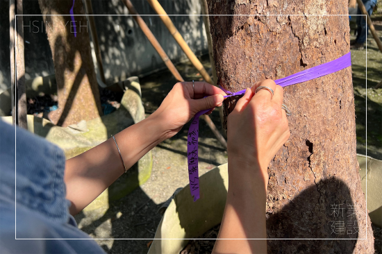 選定每棵樹木後，會在樹幹繫上綁樹帶做為紀錄，堅持尋樹的原則，維持護樹的理念，保持愛樹的心。
