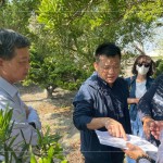 即使是一棵樹(shù)的規(guī)劃，也需方方面面、適居適所，為住戶帶來(lái)最能契合生活的好鄰居，打造自在森活的綠意空間。