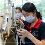 用雙手炙熱的溫度，一捏一壓，棉繩編綁，一串串的美好心意，在佳節(jié)時刻為長輩們獻上祝福。