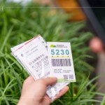 當天新業(yè)職人們不只親力親為的為大肚山種下希望的樹苗，也捐出發(fā)票，為臺灣淺山森林再出一份力，也邀請更多的人一起關注 ＃我愛山林_5230。