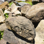 每一顆石頭背後乘載無(wú)盡的歲月，塵土與大地的繾綣，風(fēng)吹水流，留下獨(dú)特紋理、歷史刻痕，堅(jiān)毅的外殼更富含著溫柔的故事。