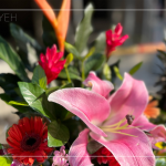 良辰吉日，透過(guò)聲聲祝禱，繫起天地與人之間的對(duì)話，期盼2024年完工的【築森鄰】完美收尾。