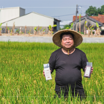 支持霧峰在地三代小農(nóng)－翁良材先生，企業(yè)化的經(jīng)營(yíng)模式，堅(jiān)持品質(zhì)、嚴(yán)選品種，讓稻田直達(dá)餐桌，品嘗最純粹的米香。