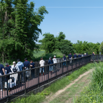 南勢溪集水面積約9.53平方公里，水質(zhì)良好，周圍仍保留自然生態(tài)風(fēng)貌，水利局打造1.8公里長的河流與綠親水廊道，透過廊道下到溪邊與自然更加親近。