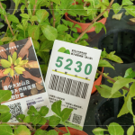 當(dāng)天新業(yè)夥伴們不只身體力行的為苗木進(jìn)行換盆作業(yè)，也捐出發(fā)票，為臺(tái)灣淺山森林再出一份力，也邀請(qǐng)更多的人共同關(guān)注 ＃我愛山林_5230。