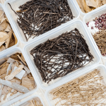 森林裡、步道旁，隨處可見的枯枝落葉、樹幹、樹皮，在透過仔細(xì)觀察各式昆蟲的型態(tài)與構(gòu)造，就能製作出帶有童趣的植物昆蟲。