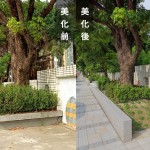 「幫近20棵的茄苳樹換新家」－因原有的花臺(tái)過小，喬木生長(zhǎng)空間有限，新業(yè)團(tuán)隊(duì)重新打造舒適的巢穴。