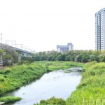 與家族相聚於西屯路永安橋的筏子溪，即將在此展開一場意義非凡的生態(tài)保育行動。