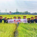 邁入第14年的契作認(rèn)養(yǎng)，以友善農(nóng)法耕作，保障農(nóng)友收益也為環(huán)境留下良田。