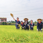 每逢秋旬，稻田阡陌相連，瀰漫著稻草與泥土的芬芳，成就了一串串飽滿稻穗，在秋收時(shí)節(jié)，一同感受來自大地的禮贊。