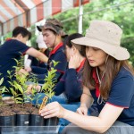 確切的紀(jì)錄樹(shù)苗品種及分盆日期，分盆完的小樹(shù)苗會(huì)統(tǒng)一放在中央培育區(qū)，待長(zhǎng)到30CM至1M再種到大肚山。