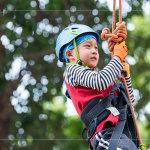 上攀的過(guò)程中，考驗(yàn)著手腳的靈活度及協(xié)調(diào)性，更是一場(chǎng)與大自然的對(duì)話，過(guò)程中僅能靠著自身的力量，慢慢地一步步上攀到制高點(diǎn)。