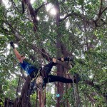 樹林中的「蜘蛛人」，利用腳鎖式（Footlock）快速攀升到切點(diǎn)，時(shí)而擺盪、時(shí)而穿梭林間，其中技巧有著大大學(xué)問。