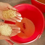 由碾米機(jī)處理過的白米一亮相，即可與尚未脫穀的稻米做出明顯區(qū)別。