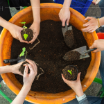 復(fù)育森林，並非將樹種滿，而是選擇適地適種的原生種，透過 ＃樹苗培育，達(dá)到生態(tài)平衡，維持生物多樣性。