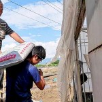 上一代承接給年輕小農(nóng)的，並不是土耙鋤頭，必須從零開始做起，從一袋袋肥料開始扛起。堅(jiān)持盡可能讓肥料灑得剛剛好，適量不過量，讓土地更有永續(xù)發(fā)展的餘裕，以善念回應(yīng)給土地。