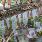感受大地的生命力，帶來溫柔的印記，農作以風味，記載了大自然不朽的魅力。