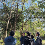 樹形整體飽滿度、分枝錯落的方向，以及360°環(huán)繞視角下，是否能達(dá)成美的平衡，皆是選樹時重要的考量。