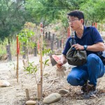 由臺灣山林復育協(xié)會–蔡智豪 執(zhí)行長 帶領，了解大肚山生態(tài)圈，種植防火樹種與大肚山潛在森林的樹木，抑制大黍草生長，終結火燒，進而讓大肚山恢復美麗森林的樣貌。