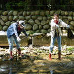 自發(fā)性參與的各部門同仁，踩著雨鞋、戴上手套，抓緊時間清理溪流垃圾，展現(xiàn)對環(huán)境保護(hù)的實踐。