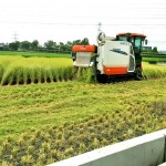一粥一飯，當思來處不易，所扒進嘴裡的每一口飯，我們都能想見：此刻，樂天的農(nóng)民正以著最樸實的笑容，來迎接稻田每一天的欣欣向榮。
