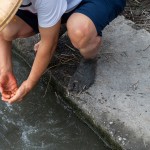 用清水將雙腳洗淨，感受大自然的洗禮，就像是一場踏入自然界的感官之旅。