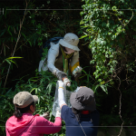 帶上夾子、爬上邊坡，草堆之間可以明確看到這些待清除的「不塑之客」，唯有仔細(xì)尋覓，才能還給河川與自然乾淨(jìng)的家園。