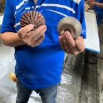 專業(yè)磨石材「造型師」登場！左邊的工具適合硬度較高的花崗巖，右邊則適合切割硬度較軟的大理石，儼然已經(jīng)摸清石材的脾氣與習(xí)性，不同石材也需要不同的工具處理。