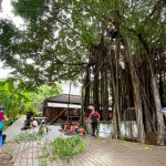 需擬定縝密的攀樹計(jì)畫、風(fēng)險(xiǎn)評(píng)估，配戴好各式攀爬裝備。安全第一!
感謝「樹沃客」專業(yè)團(tuán)隊(duì)。