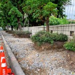 舊有人行道拆除工程，新業(yè)保留原有的樹穴，還給喬木更多的生長(zhǎng)空間，美化的同時(shí)也善待環(huán)境。