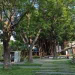 綠意盎然的臺(tái)中文學(xué)館，有近百株繁盛花草樹木，環(huán)繞日式時(shí)代的百年建築，有著說不完、道不盡的人文歷史，不妨親自巡禮一番。