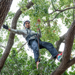 接獲攀樹(shù)挑戰(zhàn)的大人們，不惶多讓直攀樹(shù)稍，近距離欣賞樹(shù)冠的雄偉壯麗