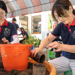 透過植樹活動(dòng)落實(shí)減碳淨(jìng)零計(jì)畫，新業(yè)以實(shí)際行動(dòng)展現(xiàn)對(duì)這片土地的關(guān)懷，為環(huán)境共生、守護(hù)生物多樣性而努力。