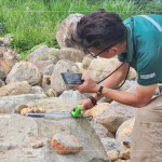 特別挑選顏色鮮豔的『黃金角石』，鋪墊後院生態(tài)水池的底部，即使是一顆顆石頭的規(guī)劃，也需要適居適所。