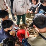 荒野保護(hù)協(xié)會總顧問-林笈克親臨現(xiàn)場，特地下溪捕撈小魚，有原生種鯽魚、吳郭魚、紅魔鬼等，不僅讓大小朋友認(rèn)識牠們，也更加了解筏子溪的多元生態(tài)，並於結(jié)束時(shí)將這些小魚們放回屬於牠們的家園。