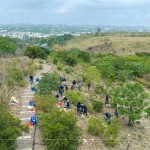 防火林帶建置—保留了野生樹種，種下榕屬植物，透過樹島的母樹大量逸散種子，長出野生樹苗，來加速森林演替、生生不息。