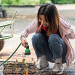 將分盆好的樹(shù)苗放置育苗方盤中，將這些剛搬新家的小樹(shù)苗們澆點(diǎn)水，後續(xù)統(tǒng)一放在中央培育區(qū)，慢慢長(zhǎng)大。