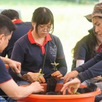 透過(guò)植樹(shù)活動(dòng)落實(shí)減碳淨(jìng)零的計(jì)畫，新業(yè)希望以行動(dòng)展現(xiàn)對(duì)這片寶島土地的關(guān)懷，齊心打造綠色永續(xù)環(huán)境。