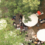 森林裡的春日漫遊，在陽光下放鬆身心，沿著小徑慢慢散步，靜靜地為自己充電，收集生活中的簡單美好。