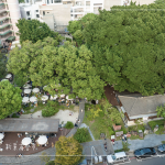 植物茂密繁盛，書香氣息瀰漫，1863坪內(nèi)的百年榕樹，樹大根深的高木，伴隨其他樹種，更顯綠意盎然的景致。